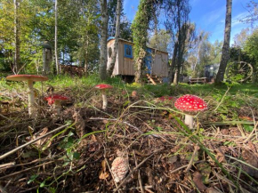 Sapphire forest garden shepherd’s hut
